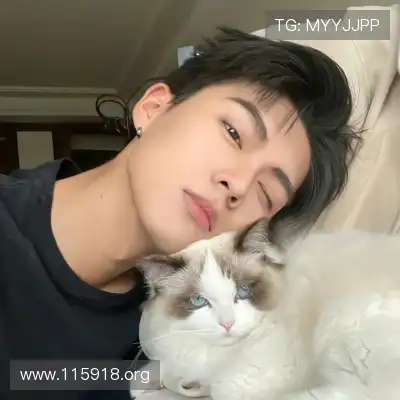 云维燕